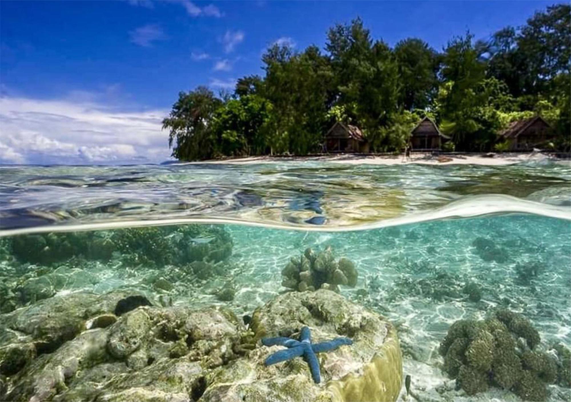 Wai Resort - Raja Ampat Pulau Birie Екстер'єр фото